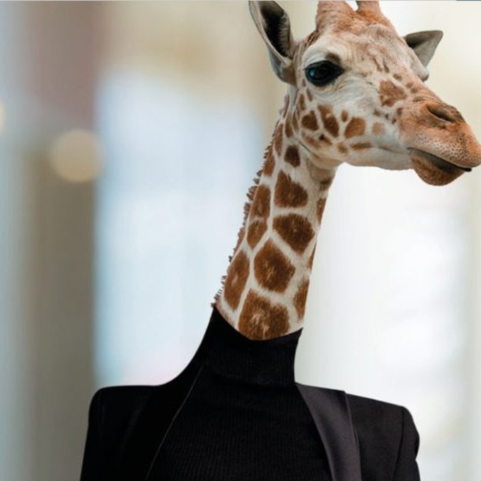 Avec un Index d'Egalité Femmes-Hommes de 94/100, Squad obtient le meilleur score des 20 plus grands acteurs de notre secteur. cover