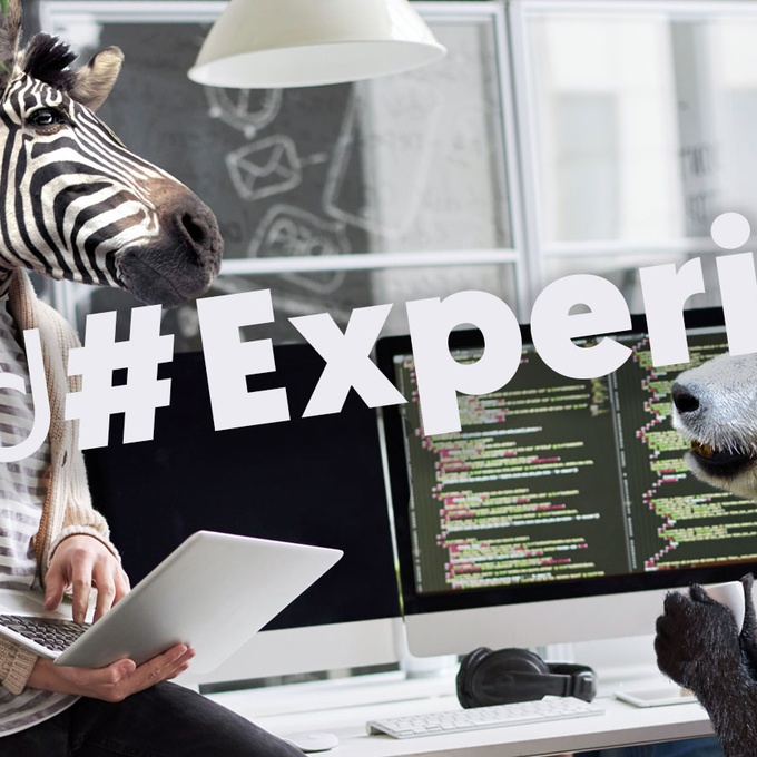 Squad#Experience – De chargée de mission R&D à responsable d'audits, voici le parcours d'Amandine ! cover